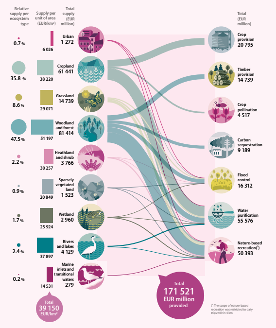 Чому збереження природи приносить вигоди економіці