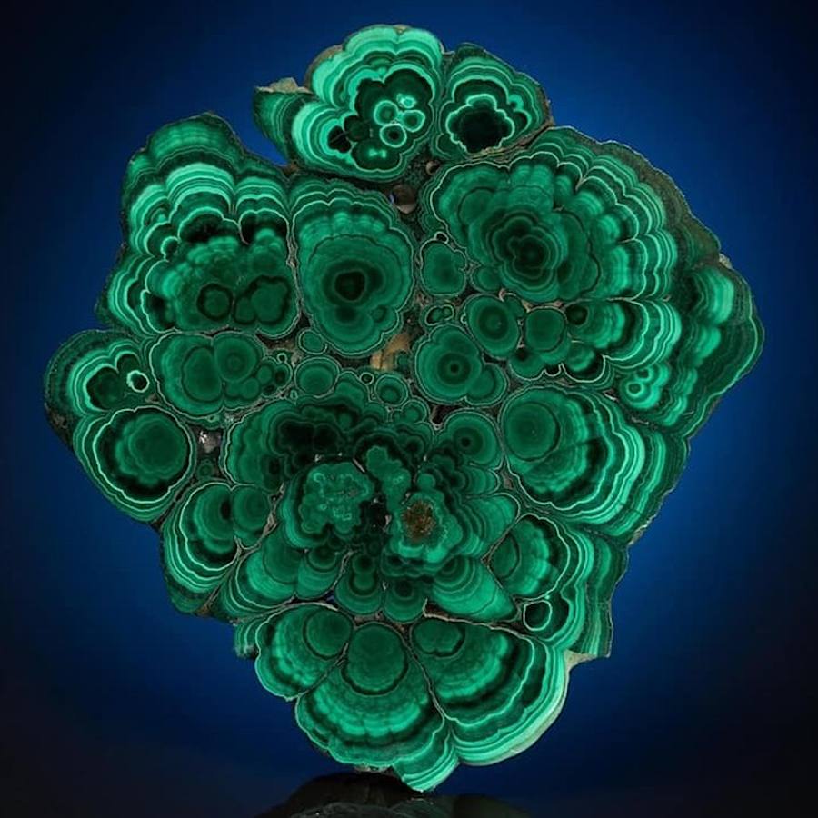 Эксперт по драгоценным камням проанализировал рабочее место Зеленского и рассказал интересные детали