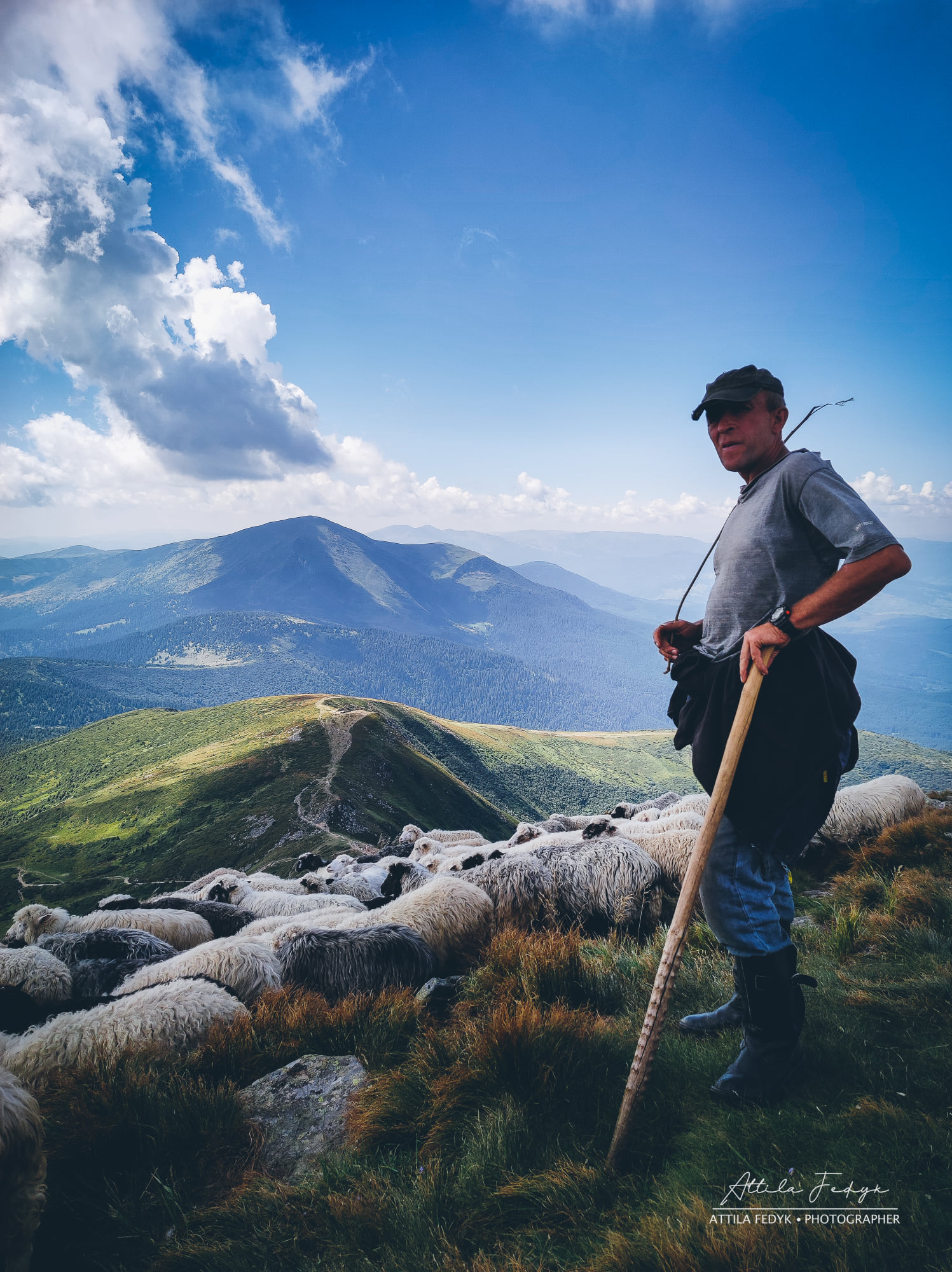 Краса Карпат: у мережі показали приголомшливе фото зі схилів Говерли