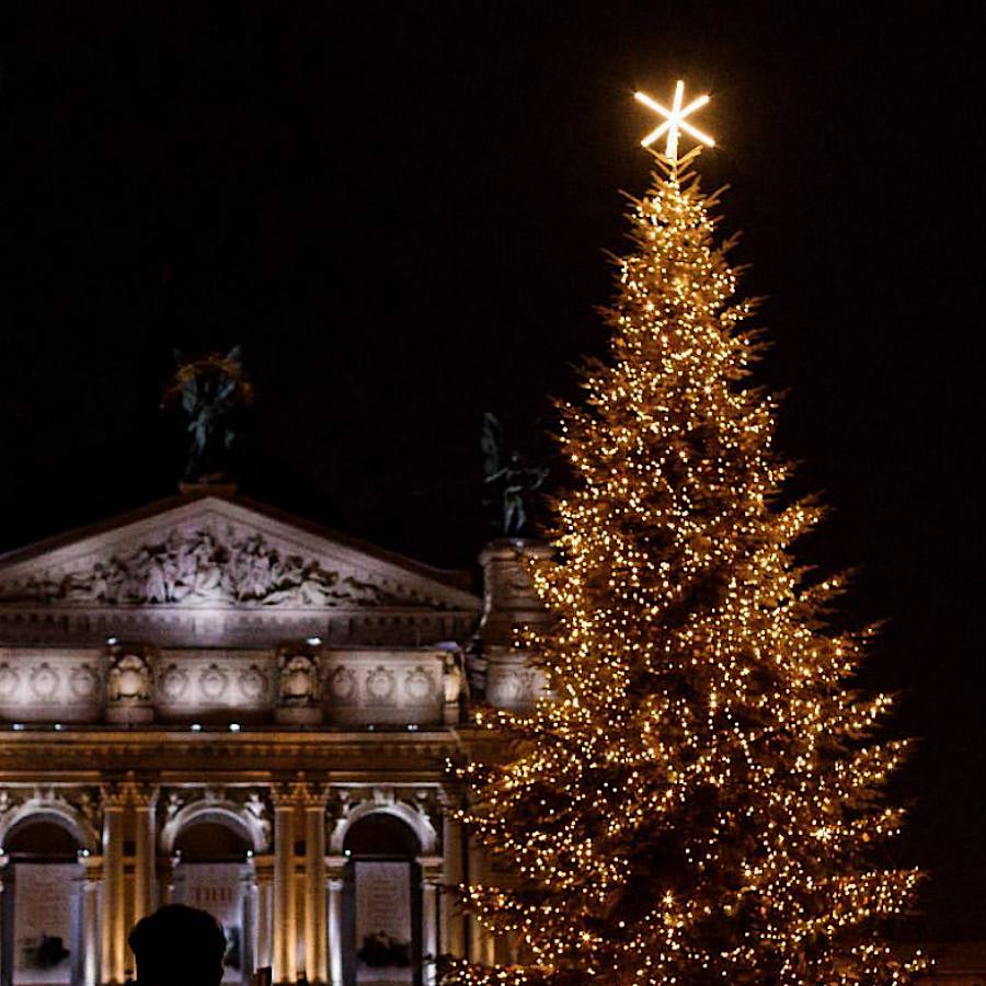 Замість верхівки протитанковий їжак. У Львові вже засяяла головна ялинка міста (фото)