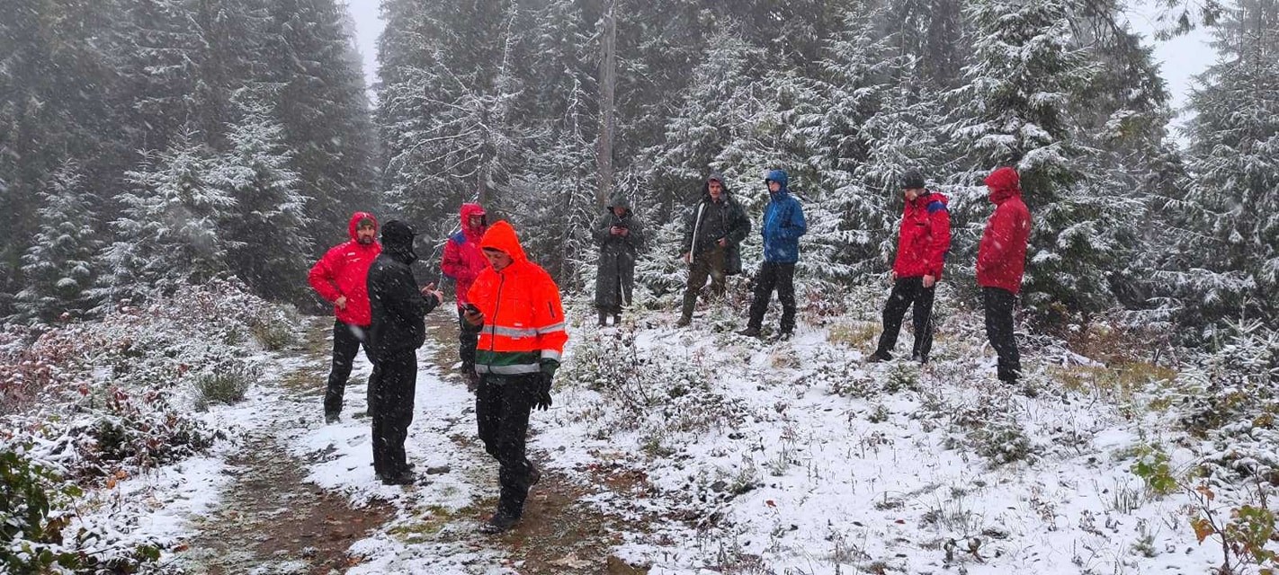Стало плохо в горах: спасатели двое суток ищут туристку в Карпатах
