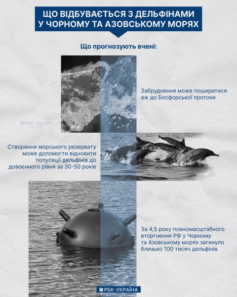 Ситуація у Чорному морі жахлива, через війну могли загинути 100 тисяч дельфінів, – біолог