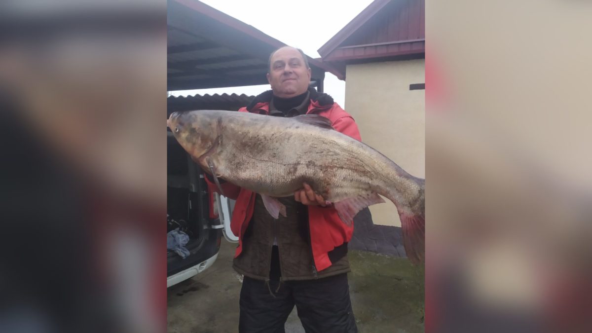 Под Днепром мужчина поймал гигантского толстолобика: таскал по водоему 30 минут