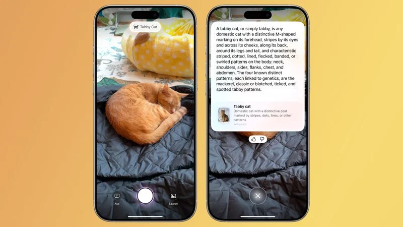 Apple випустила оновлення iOS 18.3: які зміни чекають на користувачів