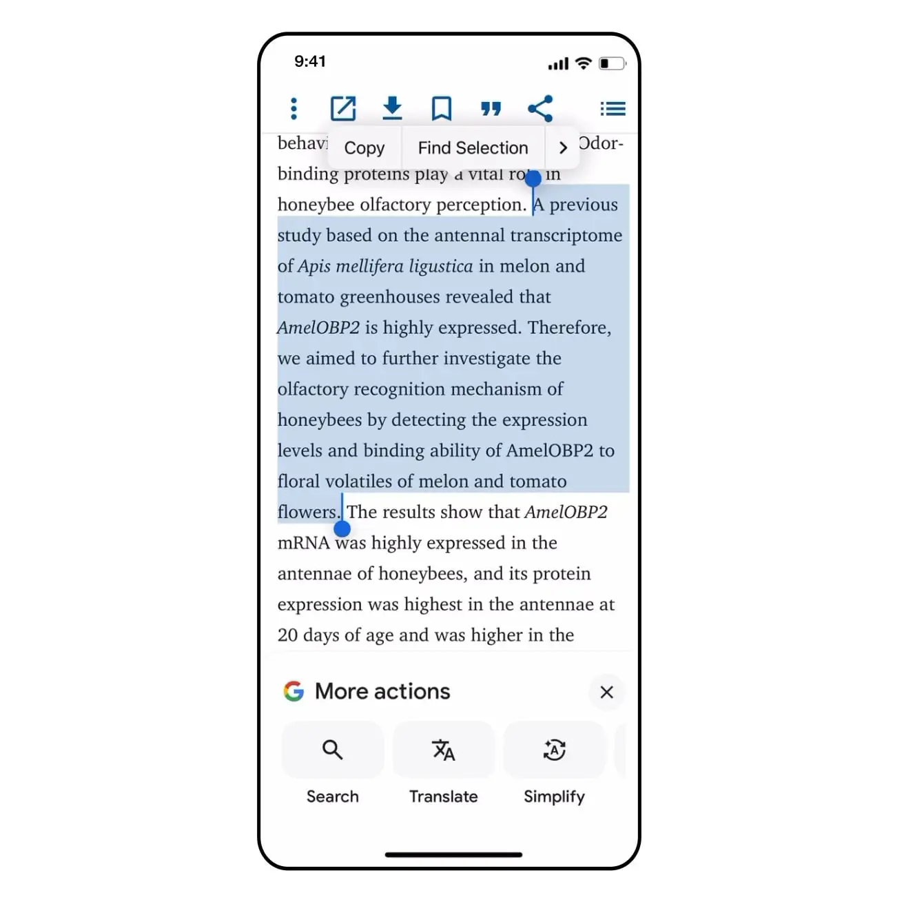 Google впровадила в iPhone нову функцію для читання складних текстів: як це працює