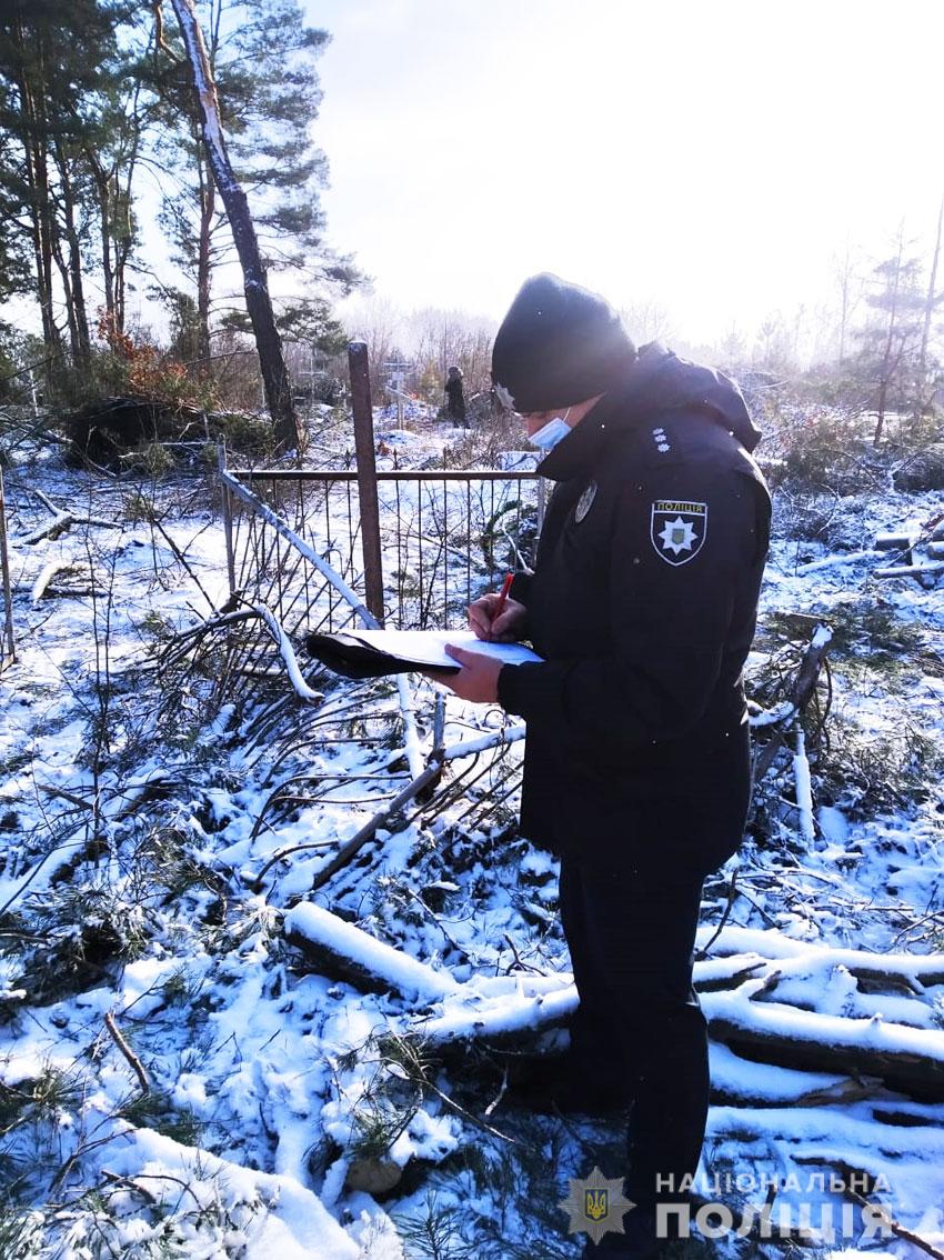 Под Черниговом предприниматель рубил деревья на кладбище и повредил 15 могил (фото)