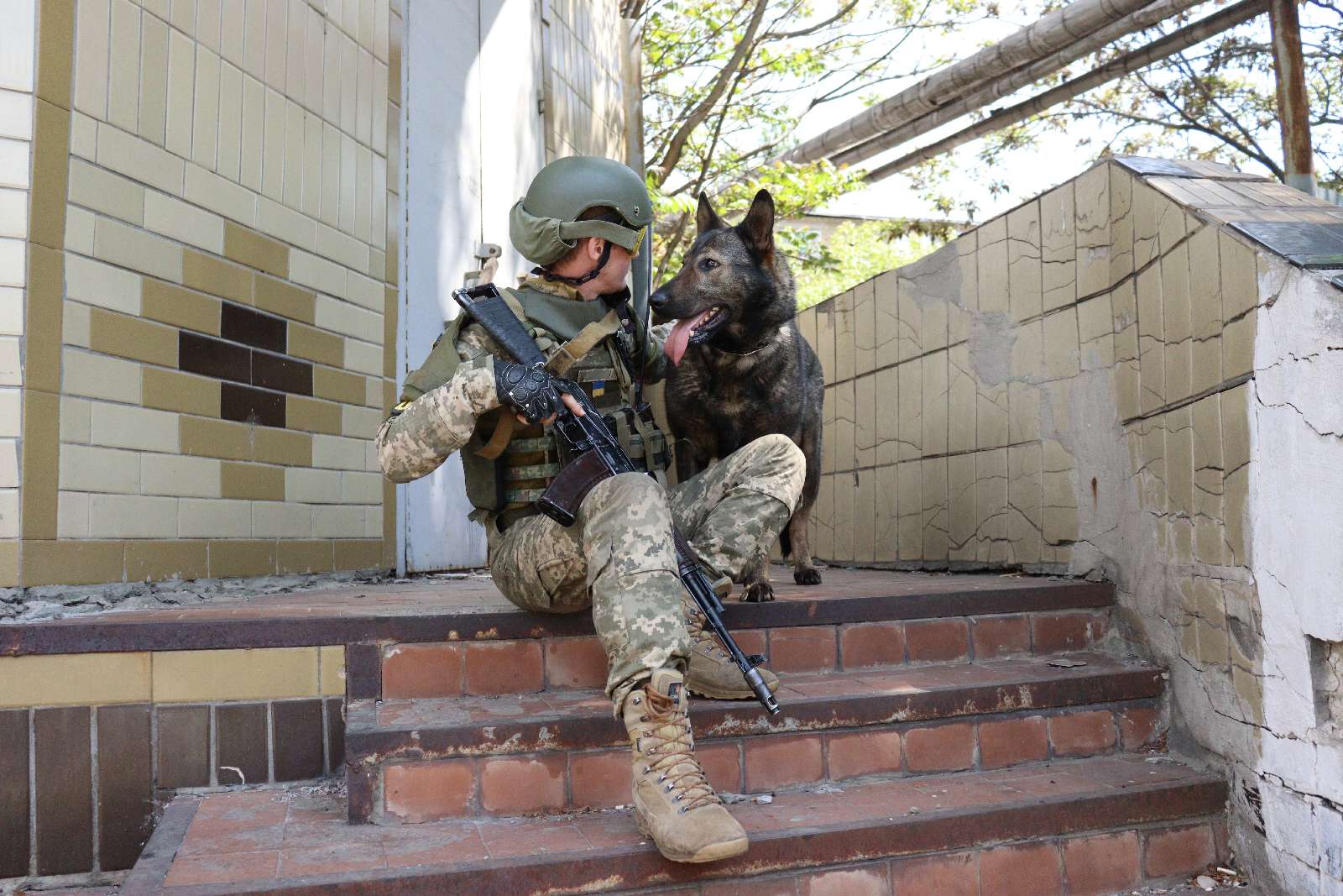 Украинские разведчики показали хвостатую помощницу-сапера Весту: спасла много жизней