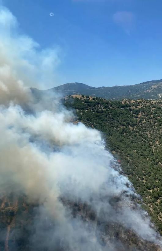 В Турции вновь вспыхнули масштабные лесные пожары