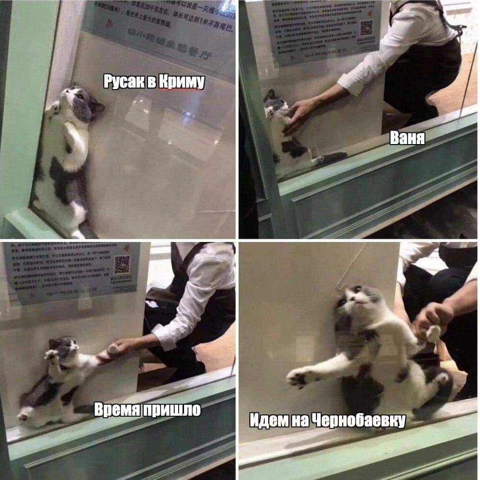 Смотрите яркие мемы, как Чернобаевка стала Днем сурка для оккупантов