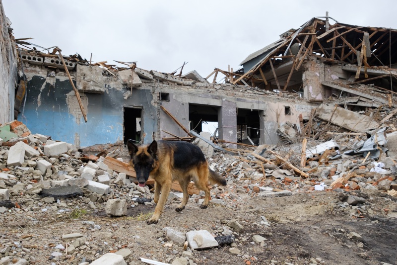 &quot;Окупанти ховались за нашими спинами&quot;: репортаж зі звільнених Балаклії та Ізюма