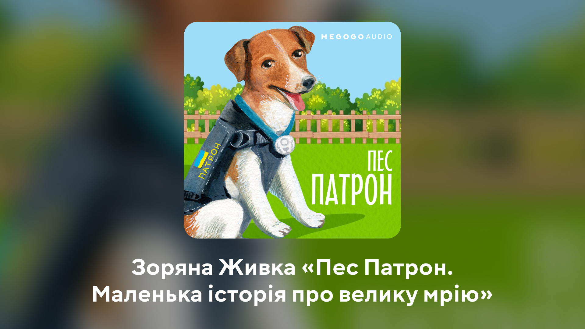 Мі-мі-мішні історії. 10 кращих мультиків і аудіокниг до Дня захисту дітей