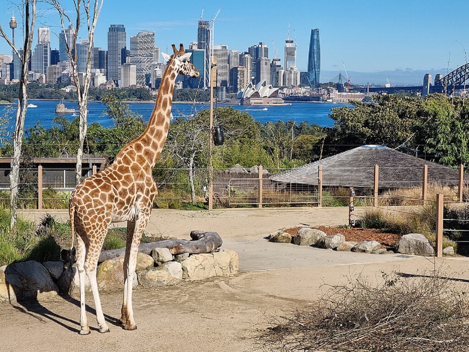 Топ-5 самых больших зоопарков, которые удивят своими жителями