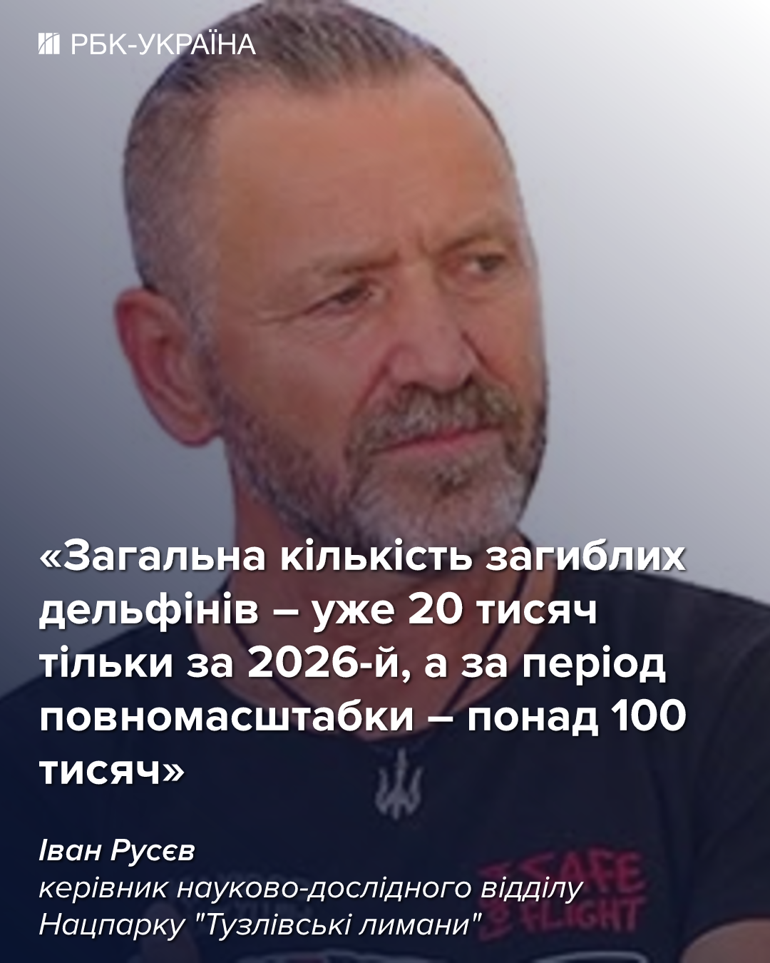 Ситуация в Черном море ужасная, из-за войны могли погибнуть 100 тысяч дельфинов, – биолог