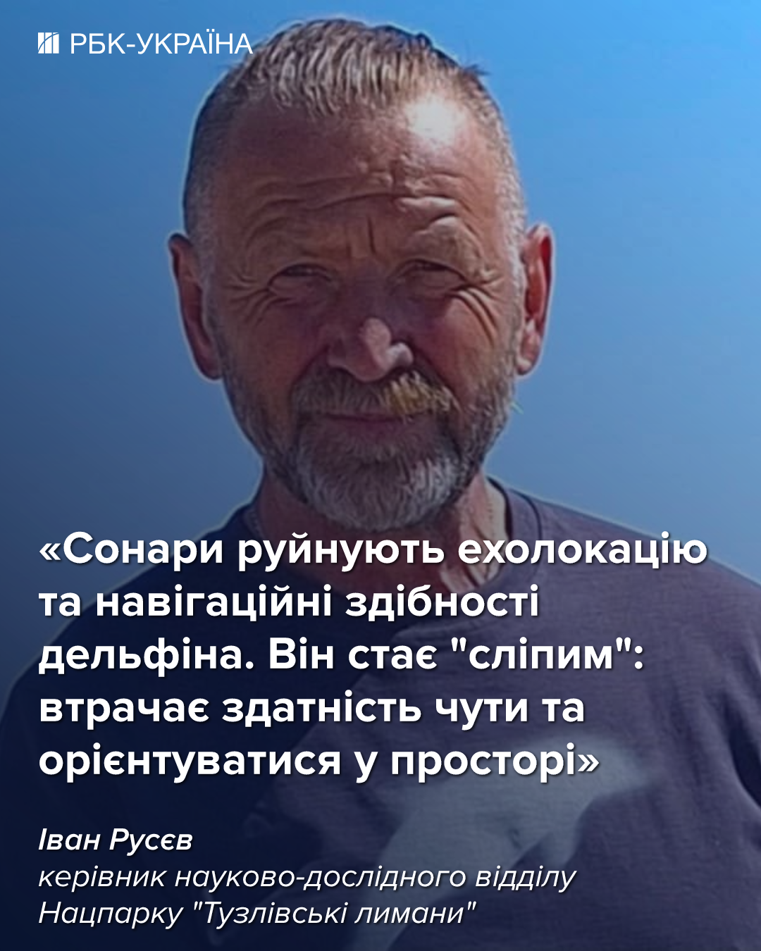 Ситуация в Черном море ужасная, из-за войны могли погибнуть 100 тысяч дельфинов, – биолог