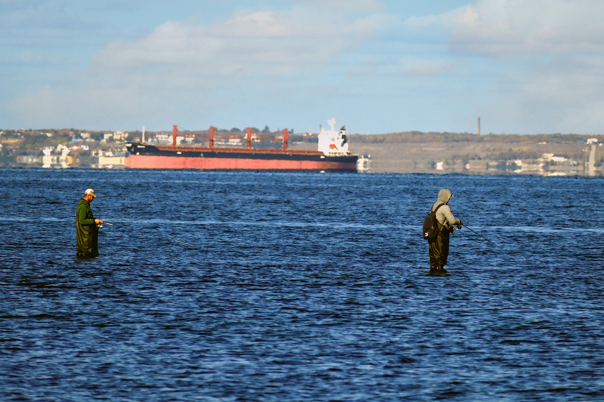 Ситуация в Черном море ужасная, из-за войны могли погибнуть 100 тысяч дельфинов, – биолог
