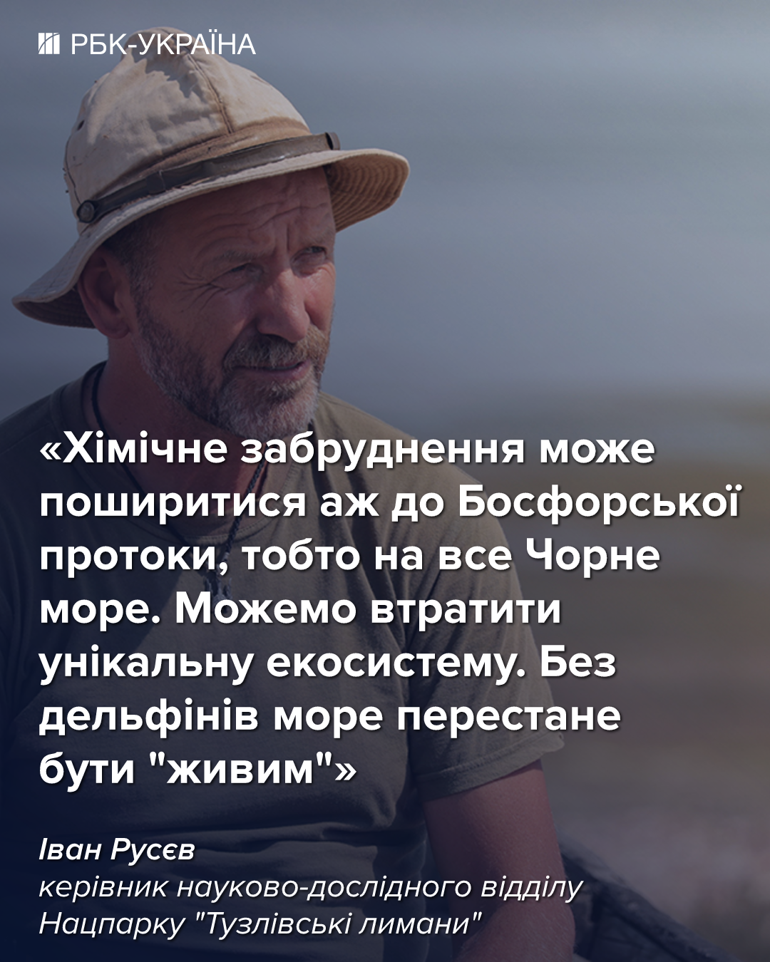 Ситуация в Черном море ужасная, из-за войны могли погибнуть 100 тысяч дельфинов, – биолог