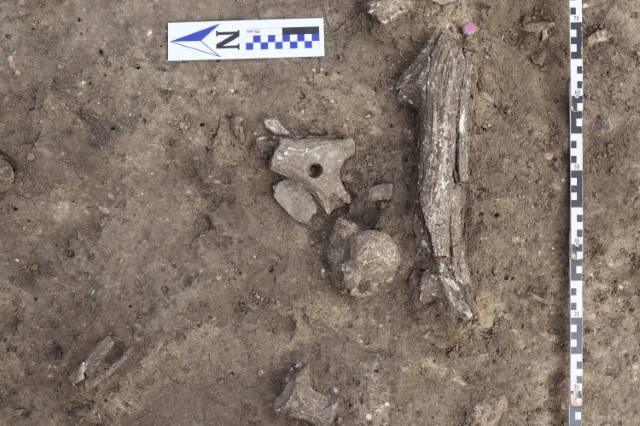 Под Винницей обнаружили курганы и поселения энеолита, эпохи бронзы и железного века (фото)