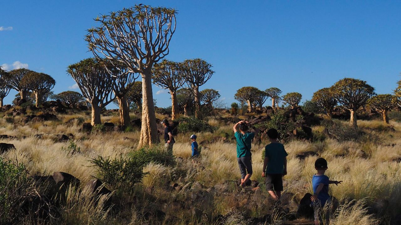 Сім'я з трьома дітьми подорожує всім світом, поки малеча не втратила зір: зворушлива історія
