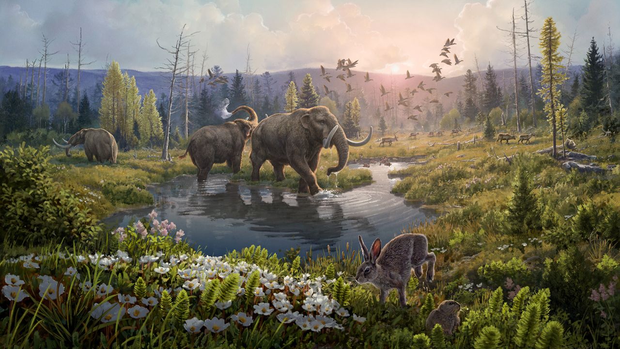 В Гренландии обнаружили ДНК, которой 2 млн лет! Эти земли населяли животные и растения!