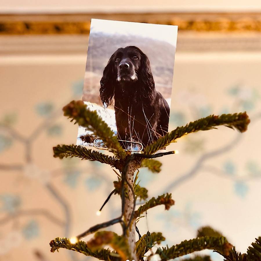 Брат Кейт Миддлтон показал, как празднует первое Рождество в роли отца (фото)