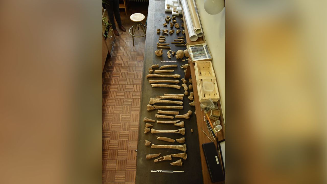 Випливла неймовірна історія про битву під Ватерлоо: куди поділися тіла