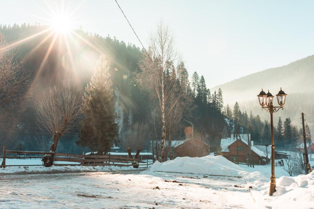 Шаттлы в Буковель и зимняя сказка. Забытый ранее уголок Карпат снова приобретает популярность