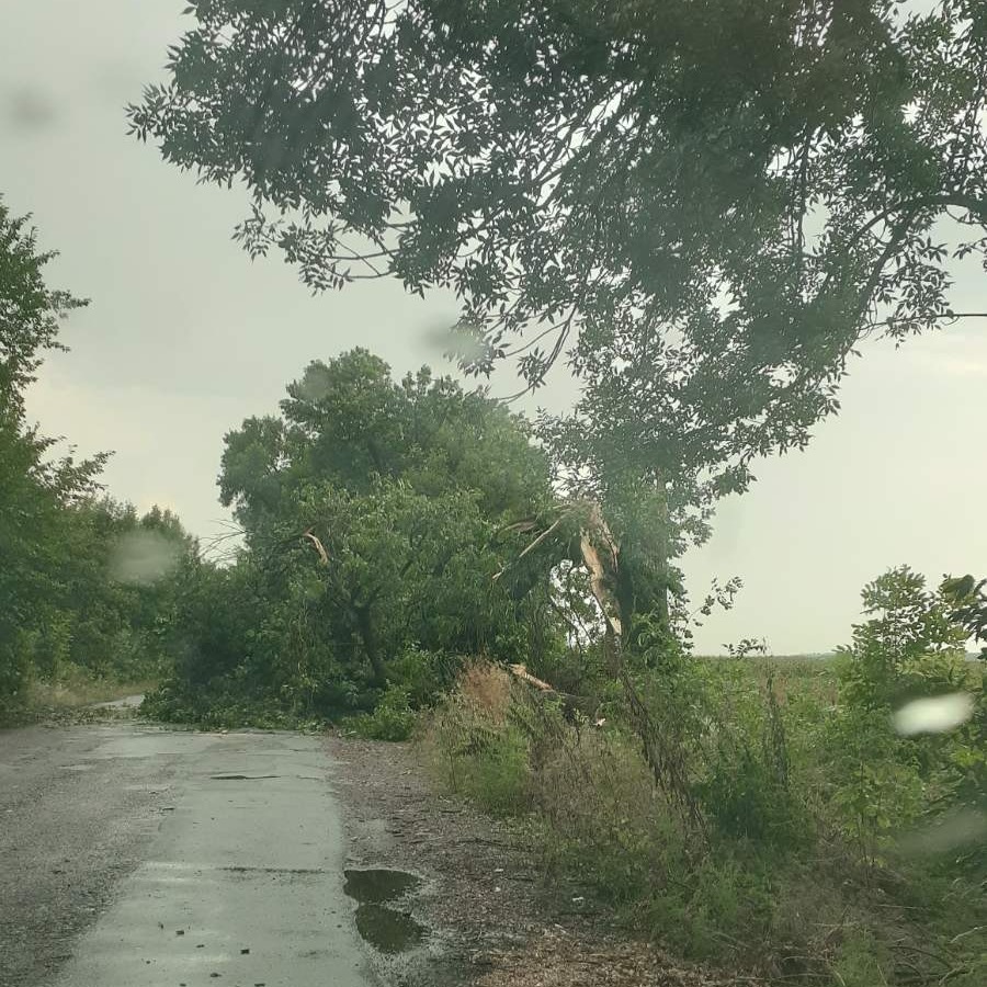 Україну накрило потужним ураганом: дерева падали, як сірники