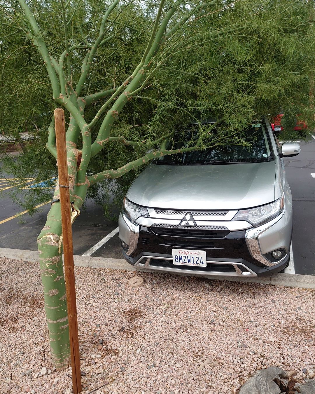 З Кондратюком сталася неприємна історія під час відпочинку: на машину впало дерево