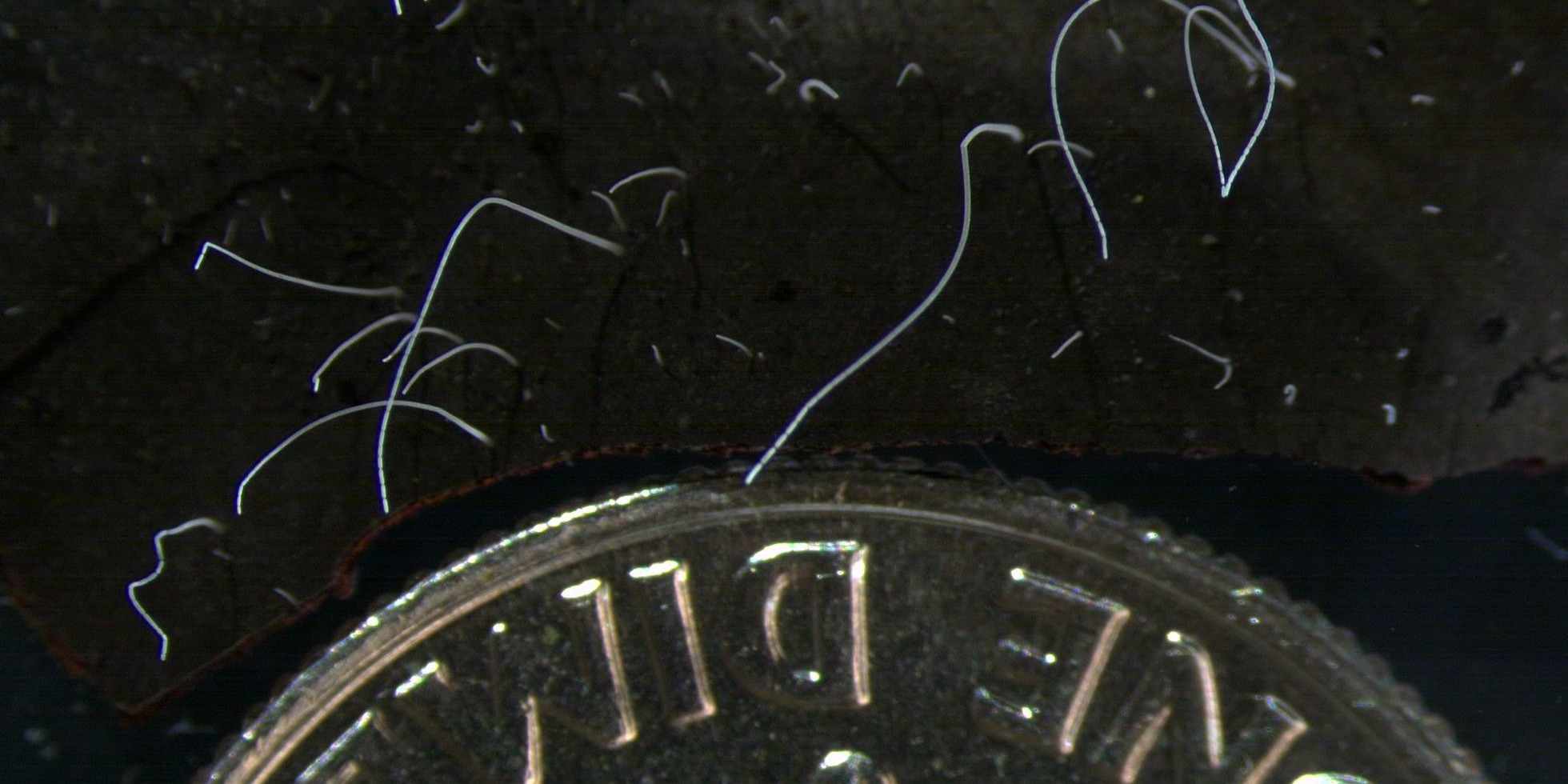 Эти факты не укладываются в голове, но подтверждены научно: вы их точно не знали