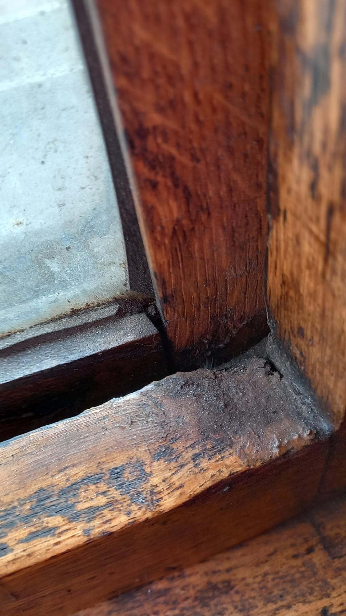 Українська актриса шокована сервісом Укрзалізниці: білизна кольору асфальту і чорні вікна