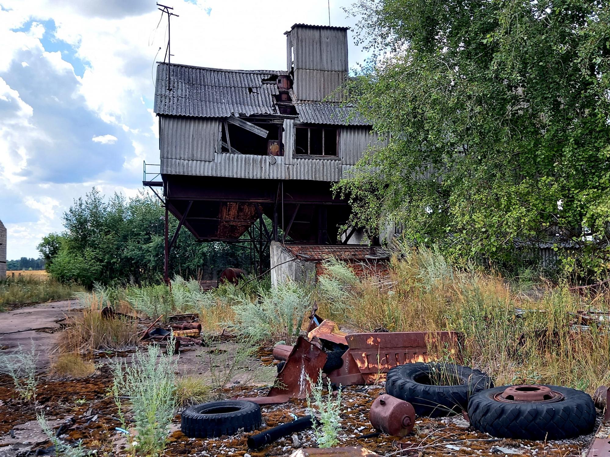 Смотрите, как выглядит заброшенное село Чернобыльской зоны: природа берет свое!