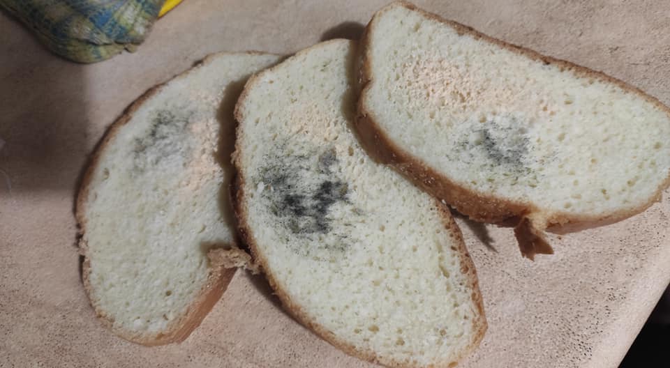 В Кривом Роге женщина купила в супермаркете хлеб с плесенью и шокировала сеть: фото &quot;сюрприза&quot;