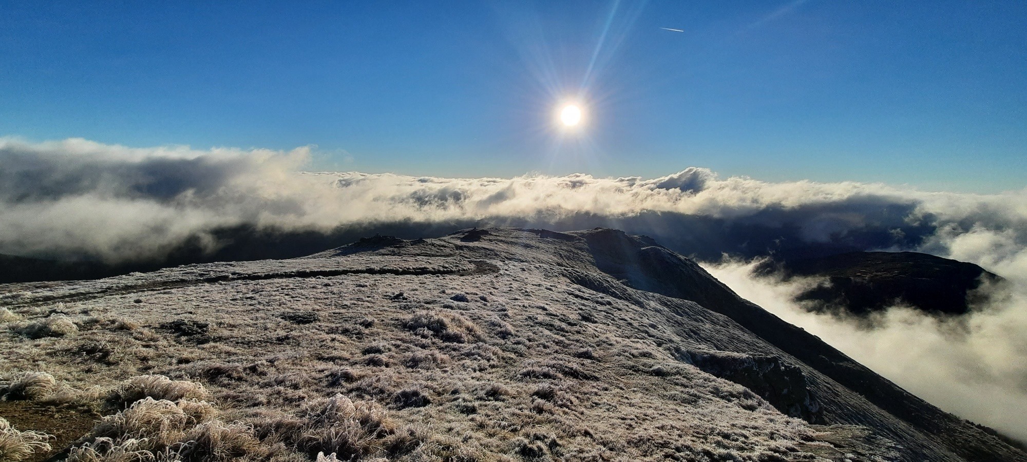 Первые морозы в Украине: замерзшие Карпаты показали на сказочных фото