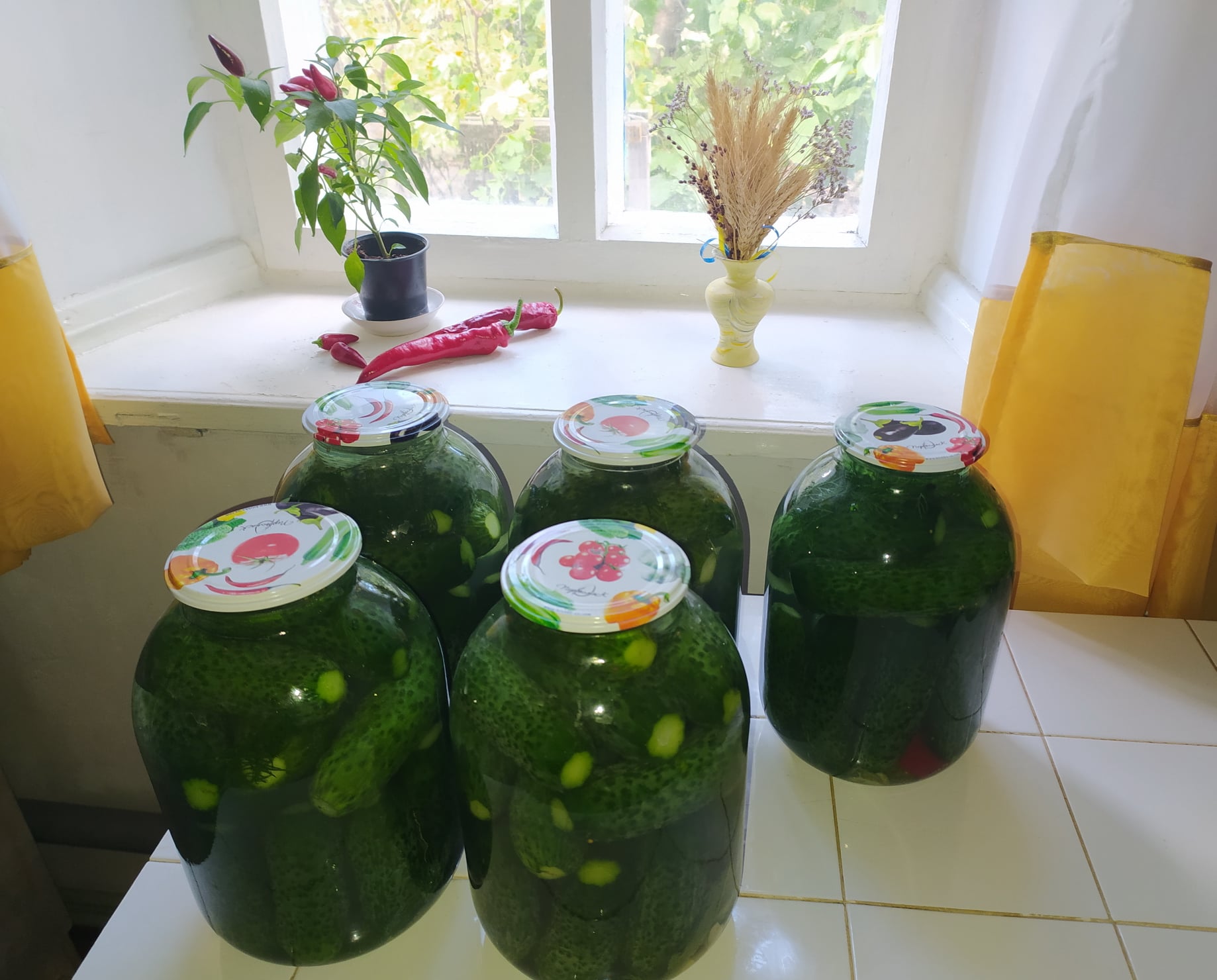 Чи корисна домашня консервація і кому її категорично не можна їсти