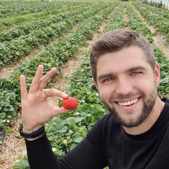 Море ягід. Куди поїхати на відпочинок і збирання полуниці за містом