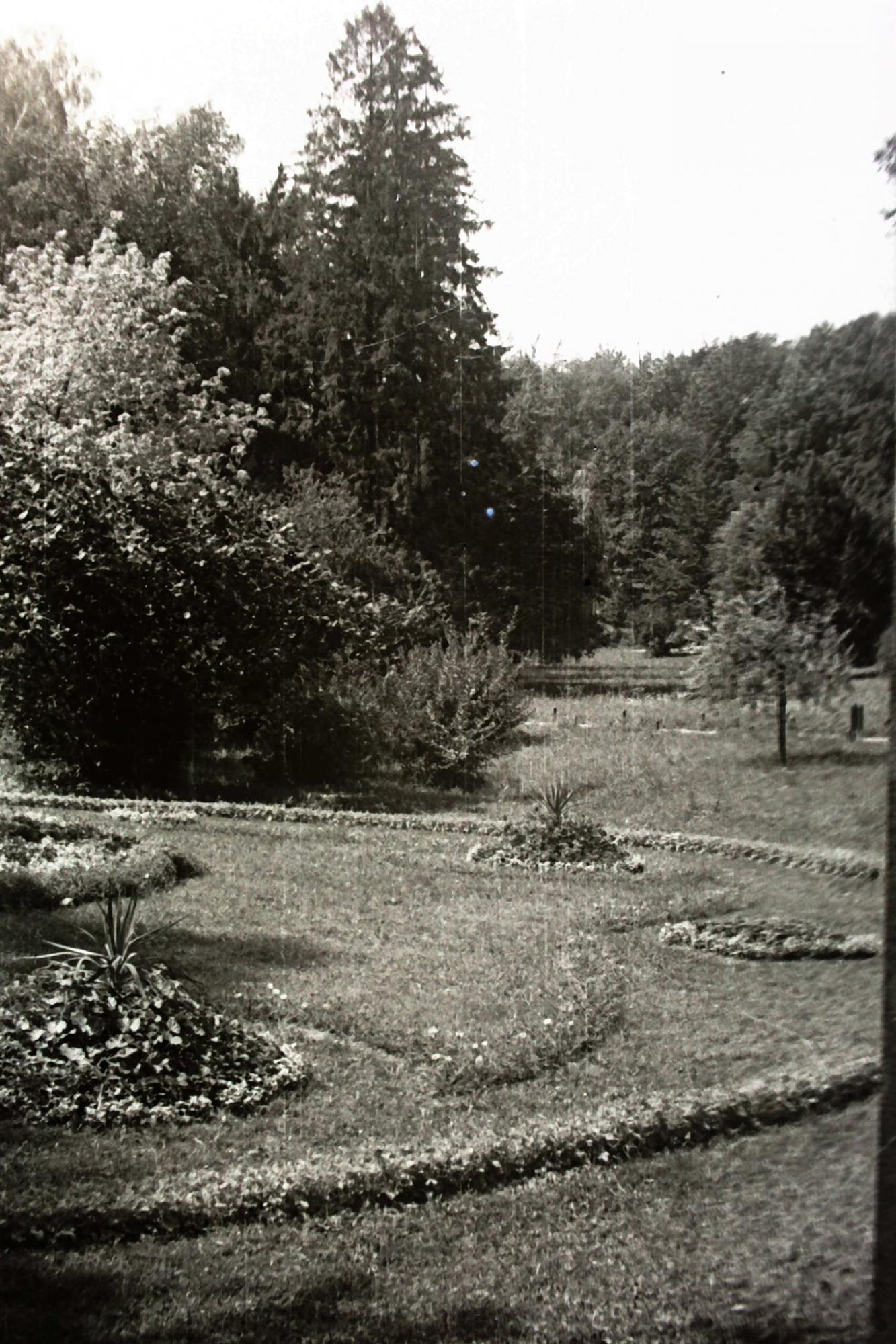 Как выглядел Львов в 1940-1950 годах: уникальные ретро-фото