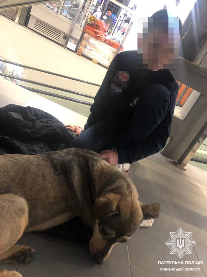 В Ровно мальчик отказался вернуться домой без найденной собаки: отдал животному кофту (фото)