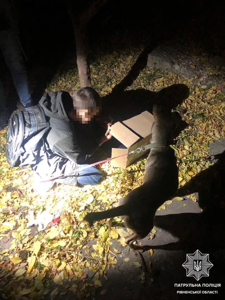 У Рівному хлопчик відмовився повернутися додому без знайденої собаки: віддав тварині кофту (фото)