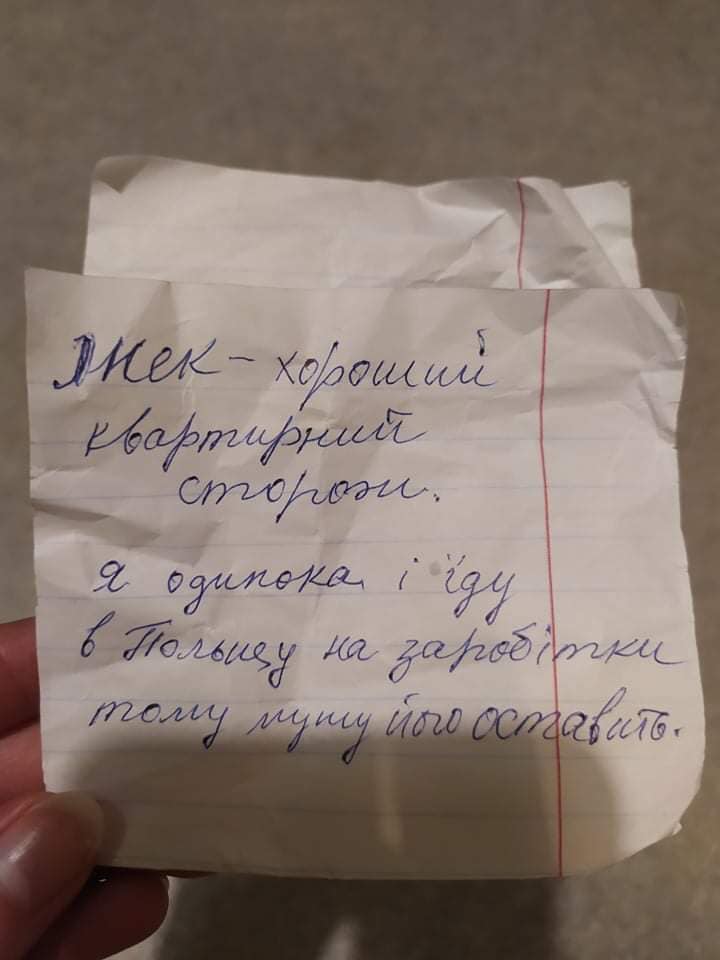 У Києві жінка кинула свого собаку у парку та поїхала на заробітки: біля тварини була записка