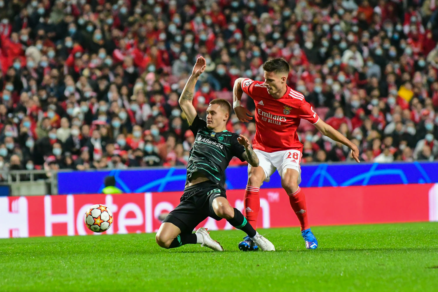 "Динамо" – "Бенфіка": анонс матчу кваліфікації Ліги чемпіонів