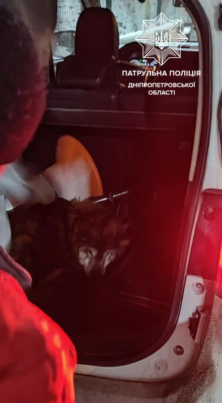 Украинские полицейские спасли собаку: какой поступок помог животному (фото)