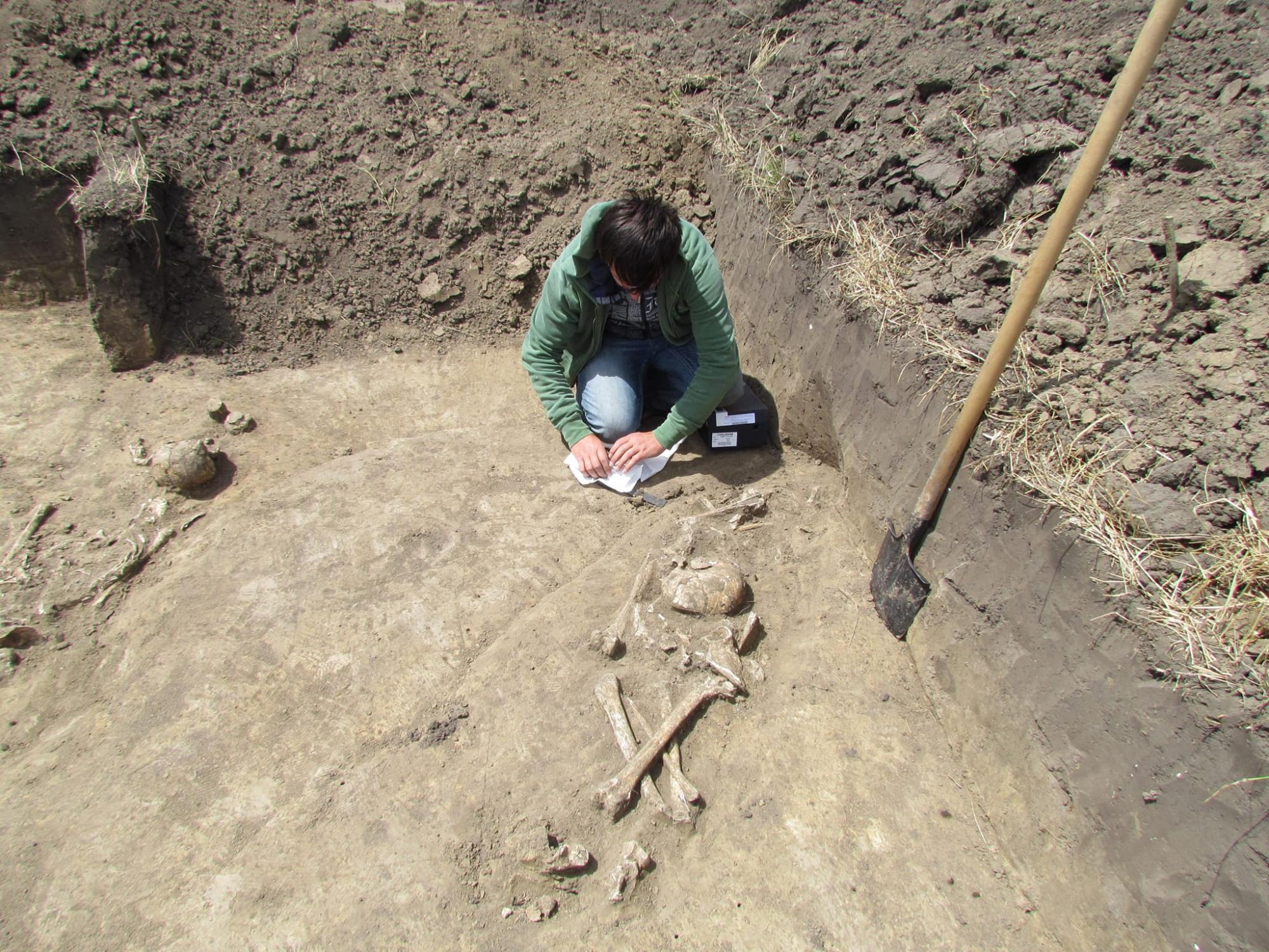 Лежали в могиле, обнявшись: под Тернополем нашли захоронение, возраст которого 3000 лет (фото)