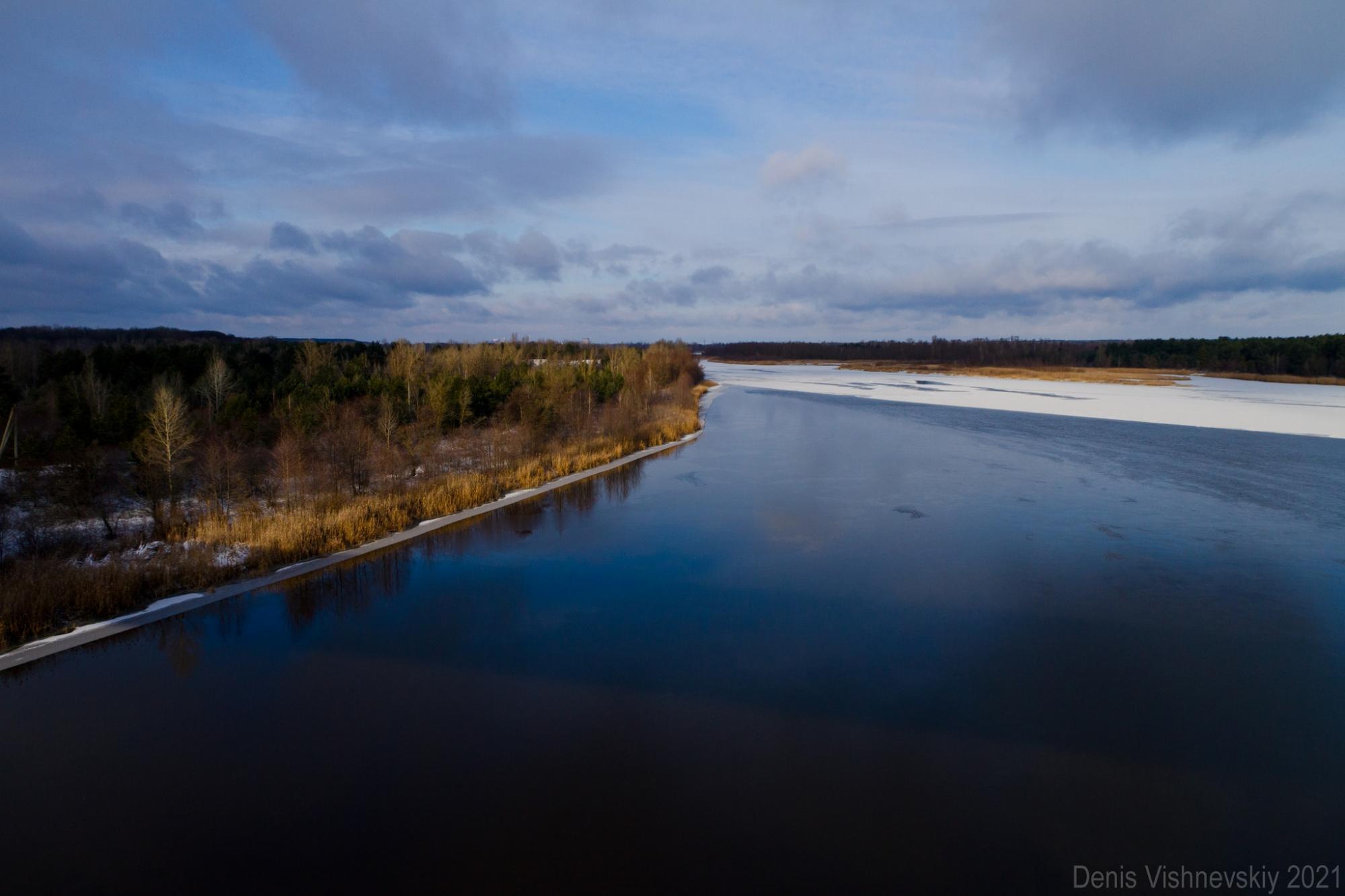 У Чорнобилі показали дивовижні фото, як ловлять сонце тварини, що не заснули взимку