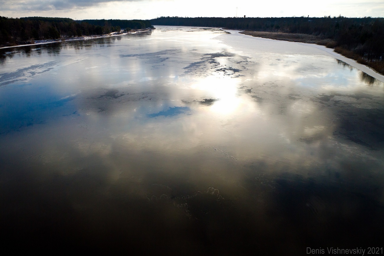 У Чорнобилі показали дивовижні фото, як ловлять сонце тварини, що не заснули взимку