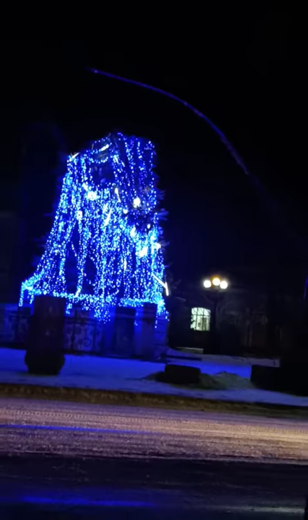 Ураганный ветер повалил новогодние елки в разных городах Украины (видео и фото)