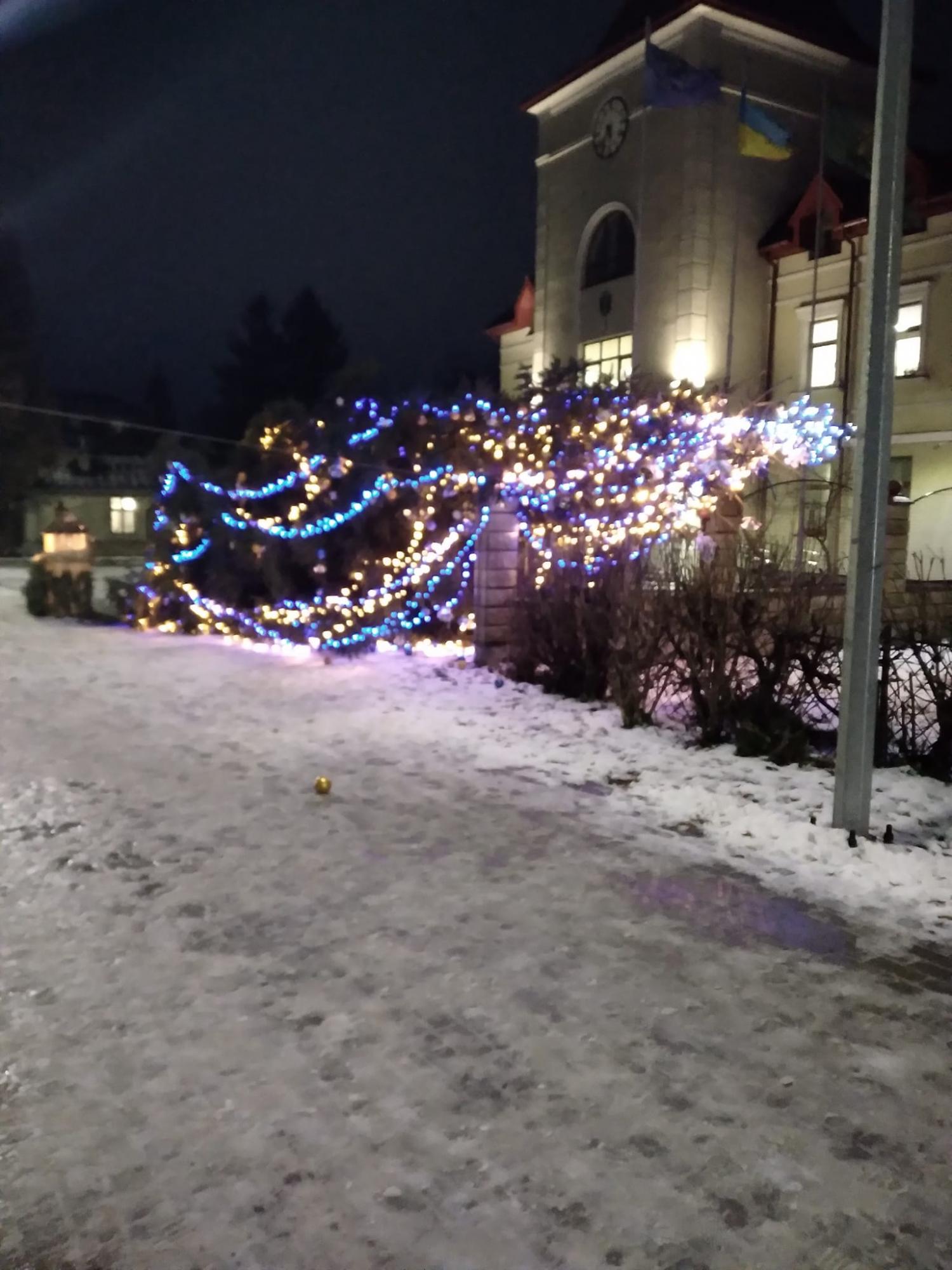 Ураганный ветер повалил новогодние елки в разных городах Украины (видео и фото)