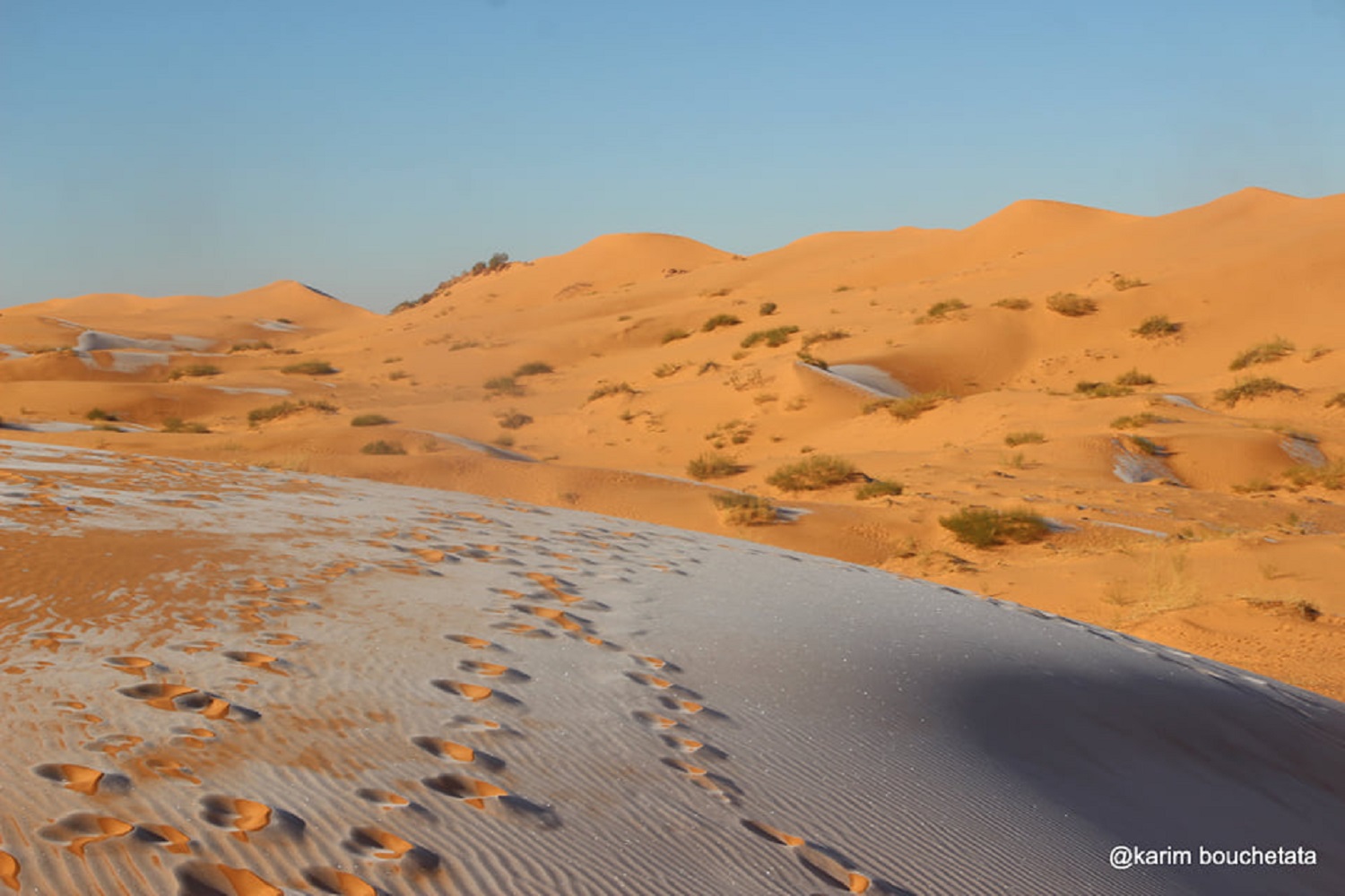 7 невероятных фактов о снеге и льде, которые вас искренне удивят
