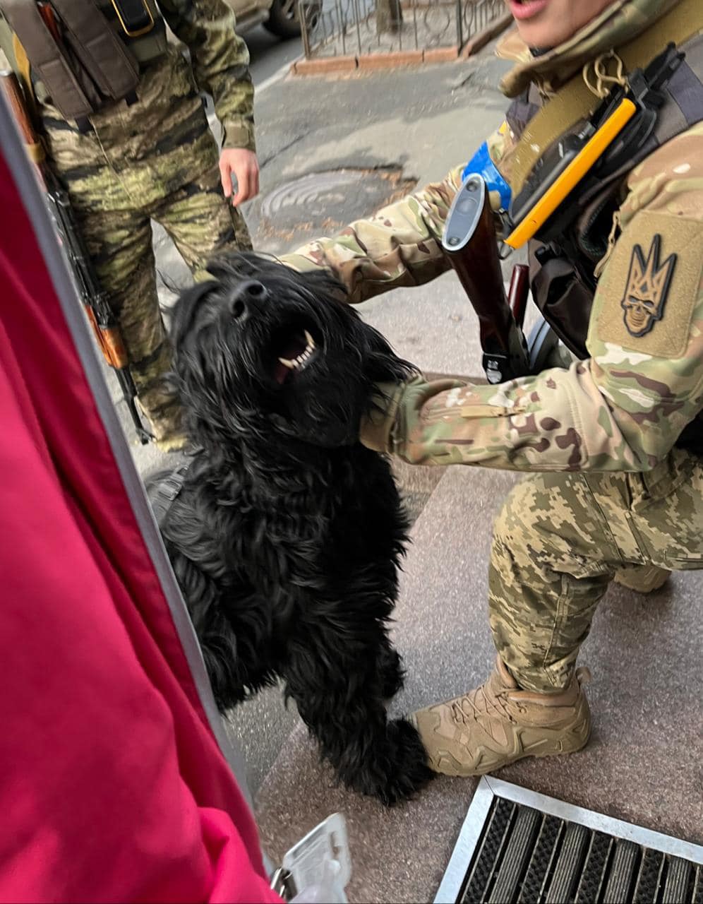Невероятная история собаки из Ирпеня, фото которой облетело весь мир