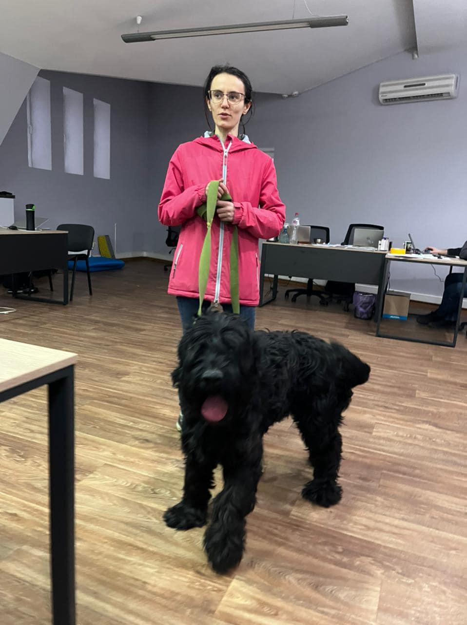 Невероятная история собаки из Ирпеня, фото которой облетело весь мир