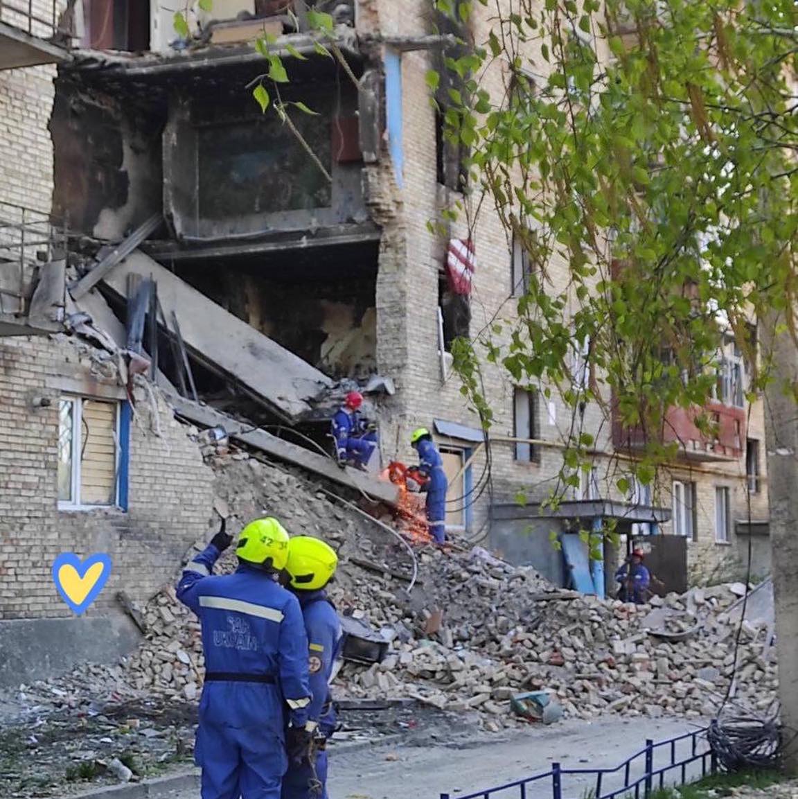 Біля Бучі з-під завалів будинку врятували кота рідкісної породи: Біггі вижив дивом (фото)